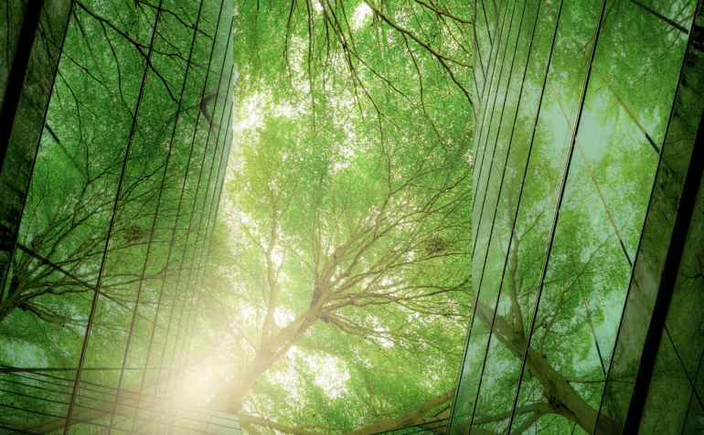 Trees reflected in buildings