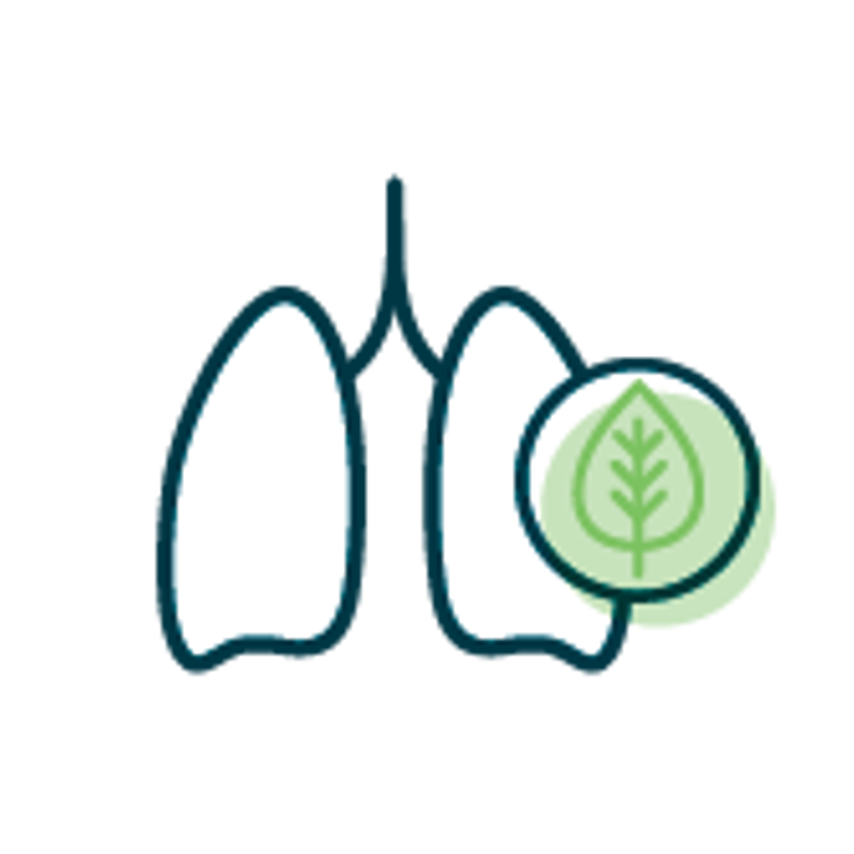 06. Lungs And Environment